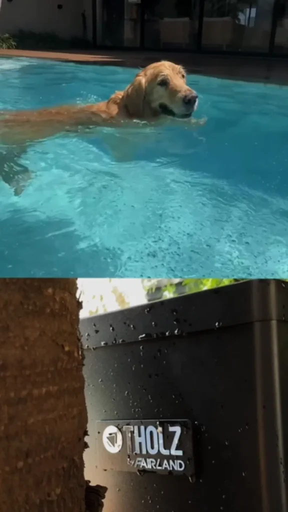 Alfredo e o trocador de calor Tholz