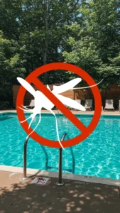 Piscina limpa com símbolo de proibição do mosquito da dengue, representando a prevenção contra o Aedes aegypti.